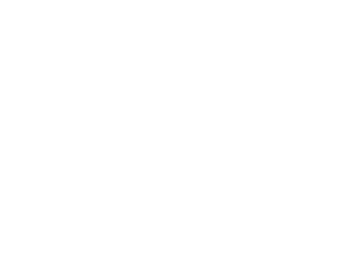 Liezel Volschenk Logo
