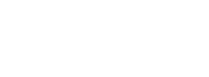 Liezel Volschenk Logo